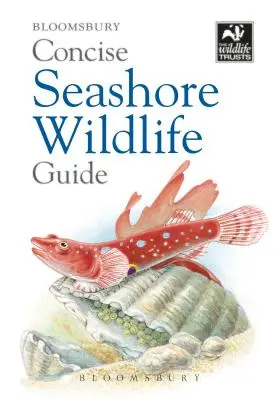 Stručný sprievodca živočíchmi na morskom pobreží - Concise Seashore Wildlife Guide
