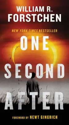 Sekundu po - One Second After