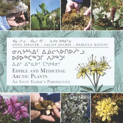 Jedlé a liečivé arktické rastliny: Inuitský starší pohľad na arktické rastliny a liečivé rastliny - Edible and Medicinal Arctic Plants: An Inuit Elder's Perspective