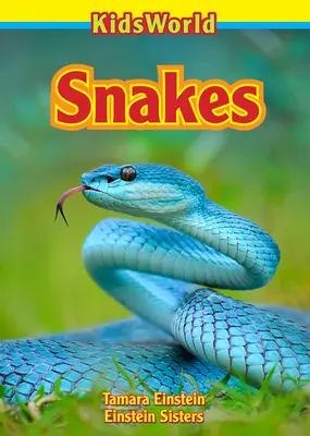 Hady - Snakes