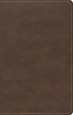Kompaktná Biblia CSB s jedným stĺpcom, hnedá koža Leathertouch - CSB Single-Column Compact Bible, Brown Leathertouch