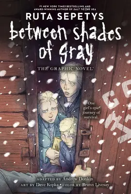 Medzi odtieňmi sivej: grafický román - Between Shades of Gray: The Graphic Novel