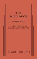 Divoká kačica - Wild Duck