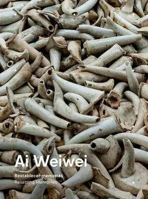 AI Weiwei: Resetovanie spomienok - AI Weiwei: Resetting Memories