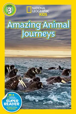 Veľké migrácie Úžasné cesty zvierat - Great Migrations Amazing Animal Journeys