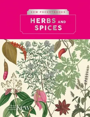 Kew Pocketbooks: Bylinky a korenie - Kew Pocketbooks: Herbs and Spices