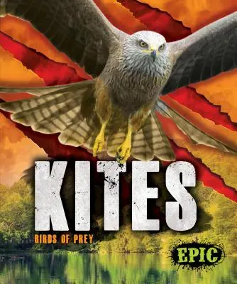 Draci: dravé vtáky - Kites: Birds of Prey
