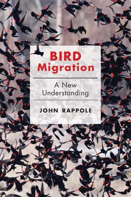 Migrácia vtákov: Nové chápanie - Bird Migration: A New Understanding