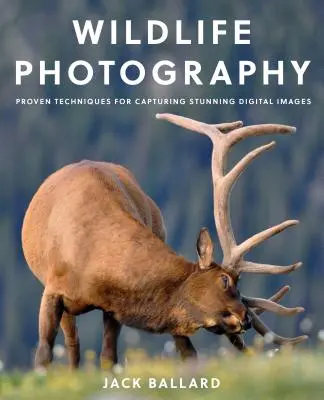 Fotografovanie divokej prírody: Osvedčené techniky na zachytenie úžasných digitálnych snímok - Wildlife Photography: Proven Techniques for Capturing Stunning Digital Images
