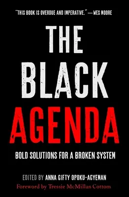The Black Agenda: Odvážne riešenia pre nefunkčný systém - The Black Agenda: Bold Solutions for a Broken System