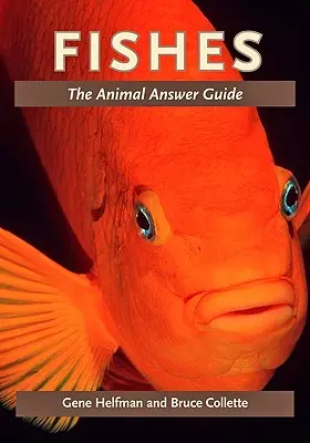 Ryby: Žralok: Príručka odpovedí o živočíchoch - Fishes: The Animal Answer Guide