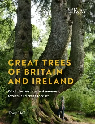 Veľké stromy Británie a Írska: 60 najlepších starobylých alejí, lesov a stromov, ktoré môžete navštíviť - Great Trees of Britain and Ireland: 60 of the Best Ancient Avenues, Forests and Trees to Visit