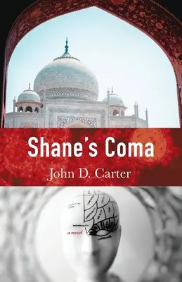 Shaneova kóma - Shane's Coma