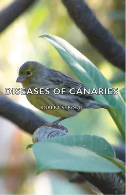 Choroby kanárikov - Diseases of Canaries