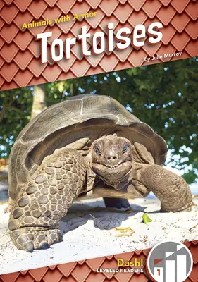 Korytnačky - Tortoises