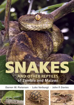 Terénny sprievodca hadmi a inými plazmi Zambie a Malawi - Field Guide to Snakes and Other Reptiles of Zambia and Malawi