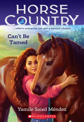 Nedá sa skrotiť (Krajina koní #1) - Can't Be Tamed (Horse Country #1)