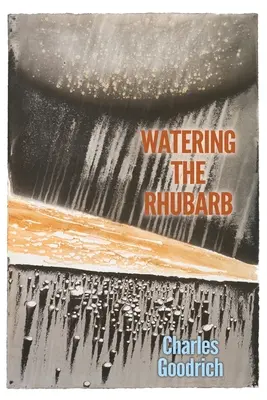 Zalievanie rebarbory - Watering the Rhubarb