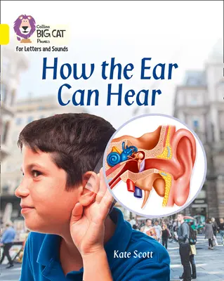 Ako ucho počuje - skupina 03/žltá - How the Ear Can Hear - Band 03/Yellow