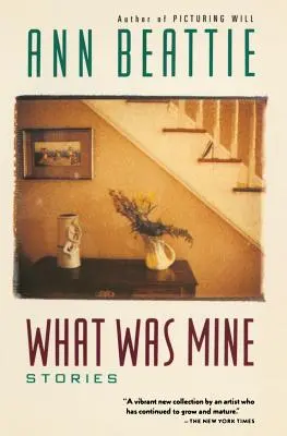 Čo bolo moje: a iné príbehy - What Was Mine: & Other Stories