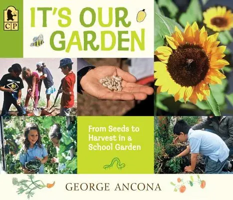 Je to naša záhrada: Od semienok po úrodu v školskej záhrade - It's Our Garden: From Seeds to Harvest in a School Garden