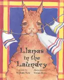 Lamy v práčovni - Llamas in the Laundry