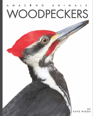 Ďatle - Woodpeckers