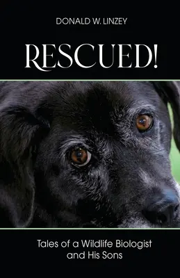Zachránený!: Príbehy biológa divokej prírody a jeho synov - Rescued!: Tales of a Wildlife Biologist and His Sons