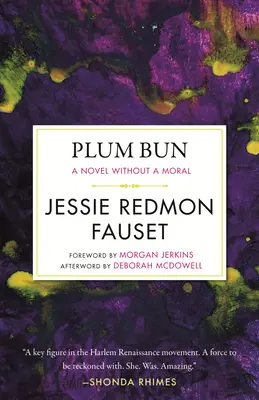 Slivková buchta: A Novel Without Moral - Plum Bun: A Novel Without a Moral
