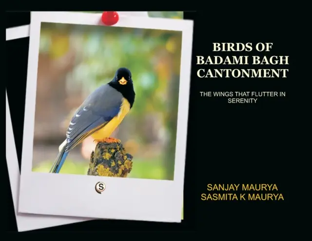 Vtáky kantónu Badami Bagh - Birds of Badami Bagh Cantonment