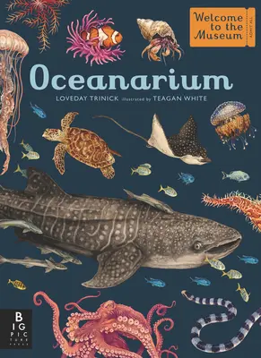 Oceanárium: Vitajte v múzeu - Oceanarium: Welcome to the Museum