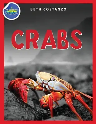 Pracovný zošit s aktivitami pre deti od 4 do 8 rokov - Crab Activity Workbook for Kids ages 4-8