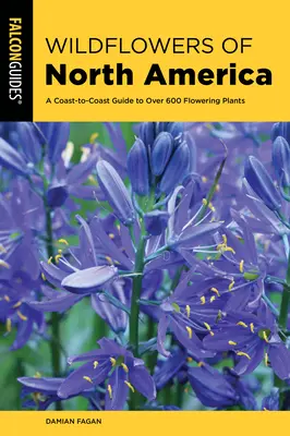 Divoké kvety Severnej Ameriky: Sprievodca viac ako 500 kvitnúcimi rastlinami od pobrežia k pobrežiu - Wildflowers of North America: A Coast-To-Coast Guide to More Than 500 Flowering Plants