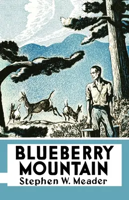Čučoriedková hora - Blueberry Mountain