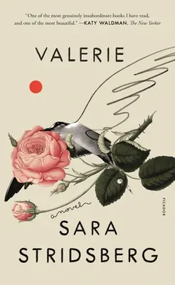 Valerie: Alebo Fakulta snov: A Novel - Valerie: Or, the Faculty of Dreams: A Novel