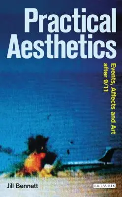 Praktická estetika: Udalosti, afekty a umenie po 11. septembri - Practical Aesthetics: Events, Affects and Art After 9/11