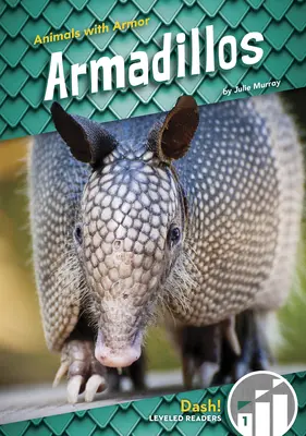 Pásovce - Armadillos