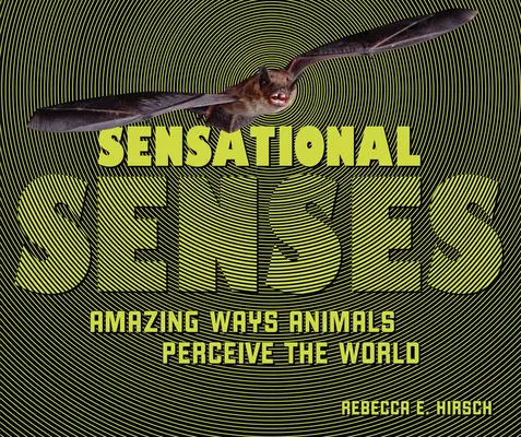 Zmysly: Úžasné spôsoby, akými zvieratá vnímajú svet - Sensational Senses: Amazing Ways Animals Perceive the World