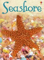 Pobrežie mora - Seashore