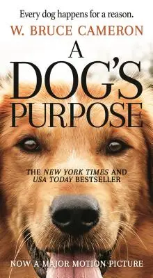 Psie poslanie: román pre ľudí - A Dog's Purpose: A Novel for Humans