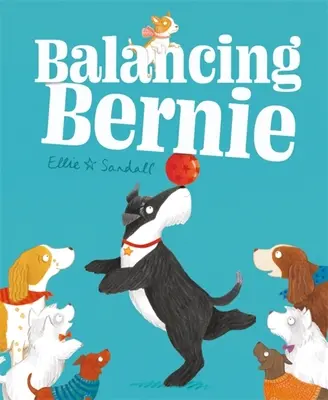 Vyvažovanie Bernieho - Balancing Bernie