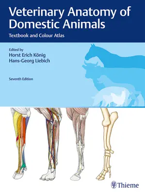 Veterinárna anatómia domácich zvierat: Učebnica a farebný atlas - Veterinary Anatomy of Domestic Animals: Textbook and Colour Atlas