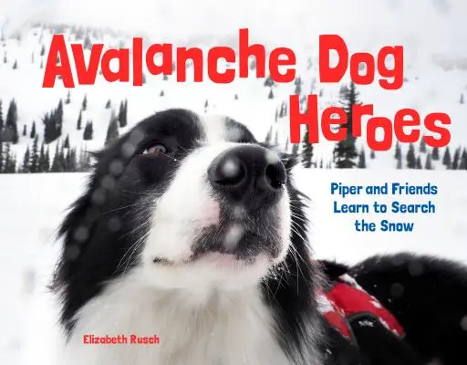 Lavínoví psy hrdinovia: Piper a jej priatelia sa učia prehľadávať sneh - Avalanche Dog Heroes: Piper and Friends Learn to Search the Snow