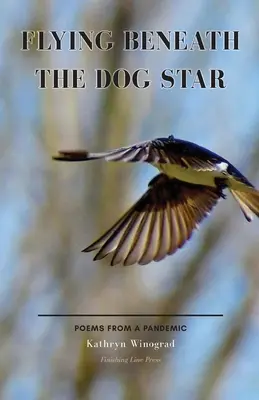 Lietanie pod psou hviezdou: Básne z pandémie - Flying Beneath the Dog Star: Poems from a Pandemic