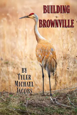 Budova Brownville - Building Brownville