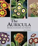 Auricula: história, pestovanie a odrody - Auricula: History, Cultivation and Varieties