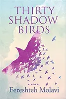 Tridsať tieňových vtákov - Thirty Shadow Birds