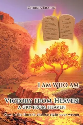 Víťazstvo z neba: Výkrik z neba - Victory from Heaven: A Cry from Heaven