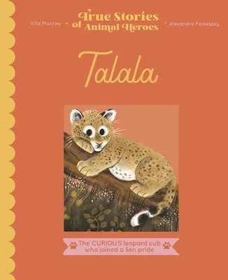 Talala: Zvedavé leopardie mláďa, ktoré sa pridalo k levej svorke - Talala: The Curious Leopard Cub Who Joined a Lion Pride