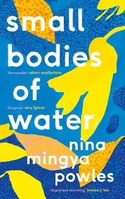 Malé vodné plochy - Small Bodies of Water